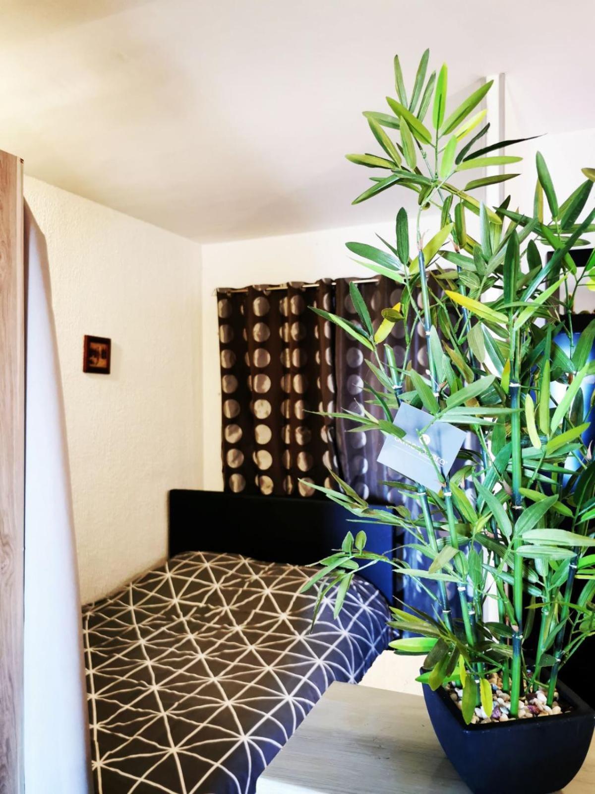 Studio Vue Sur Mer Conca Ngoại thất bức ảnh