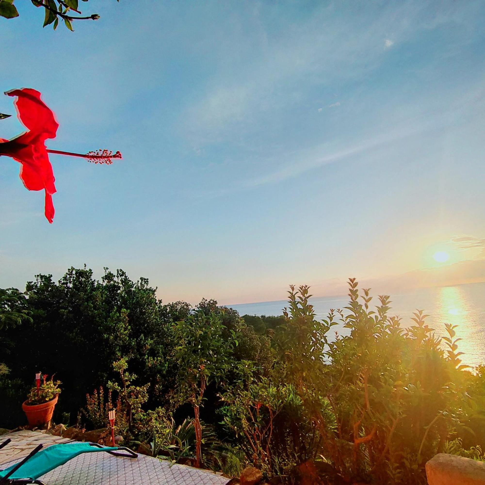 Studio Vue Sur Mer Conca Ngoại thất bức ảnh